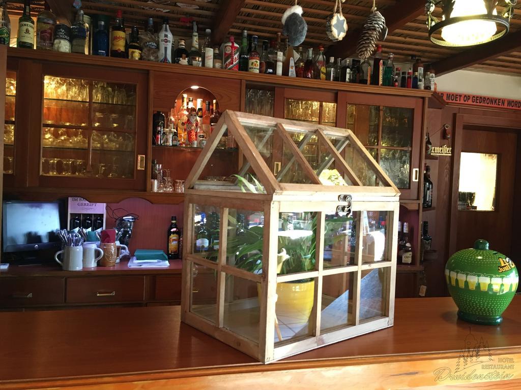 德鲁伊登斯泰恩酒店及餐厅 特劳泰斯腾 外观 照片